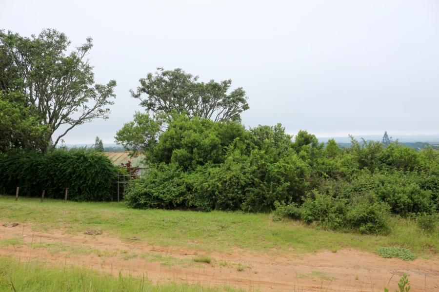 0 Bedroom Property for Sale in Bathurst Eastern Cape